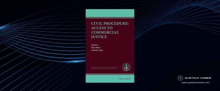 Chapter 3: An Overview of Access to Justice in Brazil